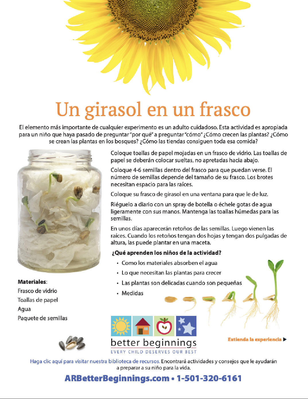 Un girasol en un frasco - vista previa